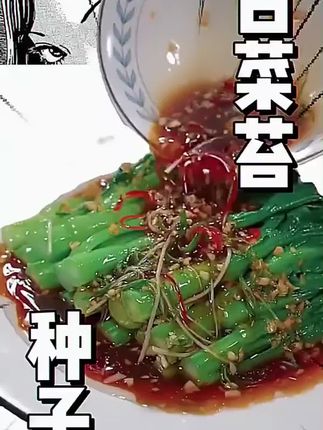 早熟白菜苔种子耐寒耐热菜苔籽多次采收菜心种子