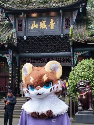 权权敢拍/敢发,怕你都不敢看,快说说你看完啥感受。#青城山 #权权闪电 #兽装