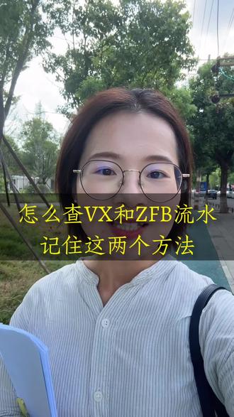 怎么查 WX 和 ZFB 的流水,记住这两个方法 #调取微信转账记录 #支付宝 #长沙律师 #湘潭律师 #调查取证