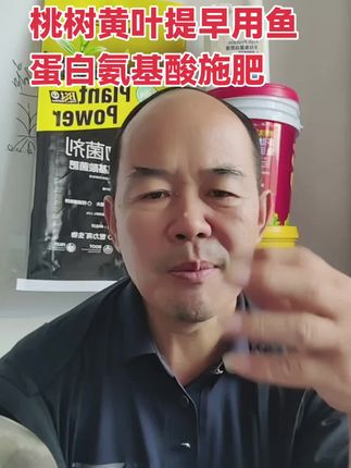 #桃树黄叶#桃树施肥