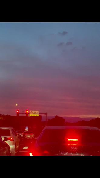 宁波90后宝妈勇闯花艺界,找余姚车库花艺主理人“巧巧老师”学习的一天
Day6.#零基础花艺 #花艺工作室 #花艺设计 #vlog日常