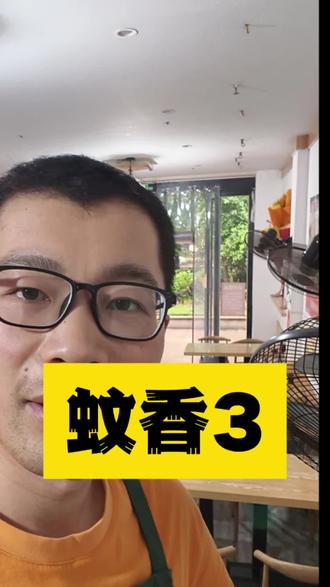 店里有苍蝇,小飞虫怎么办? 有类似困扰的这个方法,真可以试一试#苍蝇香 #小飞虫怎么消灭 #二蛋蛋 #小飞虫怎么办 #苍蝇怎么消灭