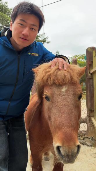 马年摸马头 万事不用愁#春节#春节去哪玩