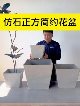 北欧风简约花盆 #花卉绿植 #花盆 #天堂鸟 #盆栽 #龟背竹