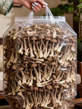 比肉还好吃的鹿茸菇,用它炒肉或者炖汤,菌香味十足,脆脆嫩嫩的孩子能多吃一碗米饭 #鹿茸菇 #脆脆菇 #鹿茸菇炒肉 #鹿茸菇干货#快来一起尝个鲜