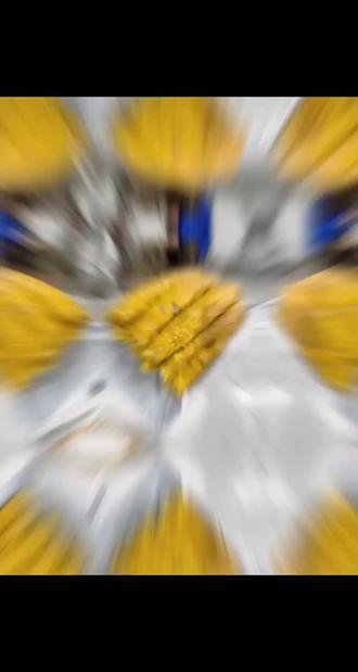 #过年美食 湘乡人过年必备