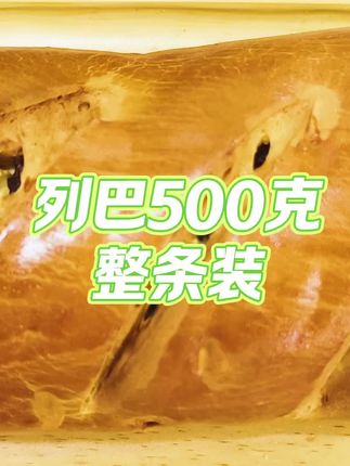 乐安天天列巴500克整条装 #好吃到停不下来 #抖音美食推荐官 #乐安天天面包 @抖音小助手