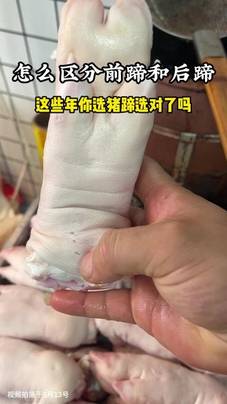怎样区分猪的前后蹄,#香坛居坛子肉 #老济南坛子肉 #餐饮创业
