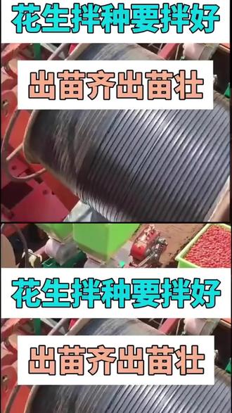 花生拌种,防病防虫,出苗齐出苗快#花生 #花生拌种 #拌种剂 #花生种植 #花生高产