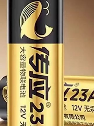 郝邵文 推荐181南孚传应23a门铃防盗12v车库电动卷帘门遥控器小电池碱性原装 #南孚电池 #电池 #遥控电池 #大容量电池 #电动卷门电池