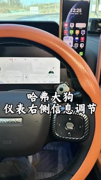 26款哈弗大狗仪屏幕内,多媒体信息、油耗信息和胎压信息以及报警信息该怎样如何正确的去调节,一期视频讲清楚调节方法#哈弗大狗 #油耗 #每天一个用车知识 #胎压