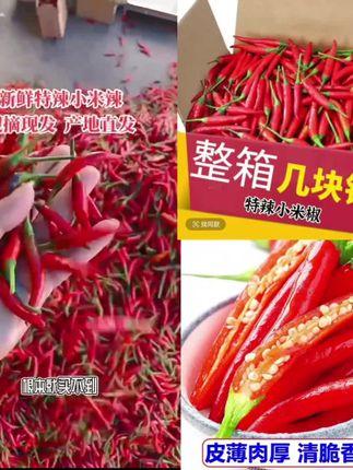 云南小米椒品质就是好#辣椒种植 #纯天然绿色食品 #优质农特产 #舌尖上的味道 #无辣不欢