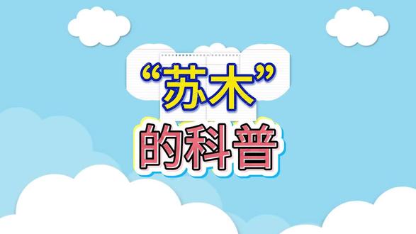 一天认识一个本草植物,今天认识苏木,欢迎评论区讨论#每日分享#涨知识 #科普 #草药 #学习