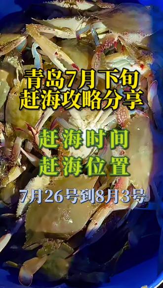 青岛7月下旬赶海攻略,含赶海时间及位置推荐。 #青岛 7月26号开启新一轮夜晚大潮,可以玩到8月3号。老弟整理了本轮大潮赶海时间及位置指引,希望对大家有帮助,关注老弟,获取更多青岛赶海资讯。
#青岛赶海 #黄岛赶海 #青岛赶海攻略 #青岛赶海时间