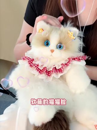 好可爱的仿真猫咪玩偶呀#送女生礼物 #也太可爱了吧 #可爱到爆炸💥 #毛绒玩具 #宠物