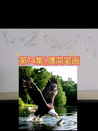 第74集|鹰简笔画 #简笔画教程 #一起学画画 #儿童爱看的小视频 #真实生活分享计划