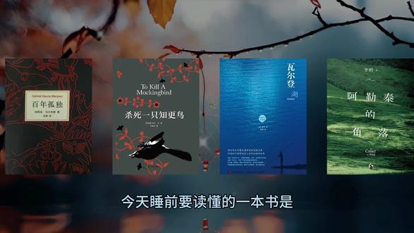 睡前读懂一本书之《局外人》#局外人 #读书分享 #加缪 #情感共鸣