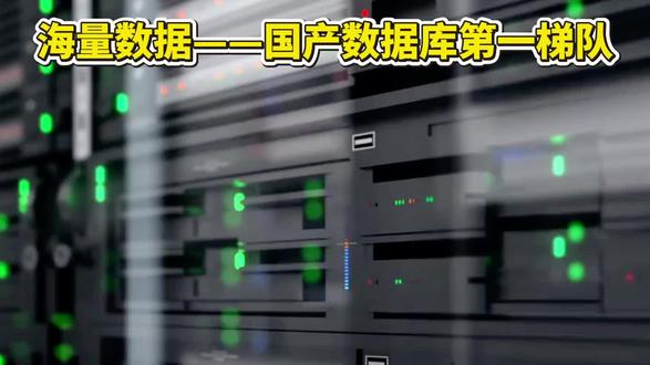 海量数据——国产数据库,第一梯队 #海量数据 #数据库 #数字经济 #信创 #股票