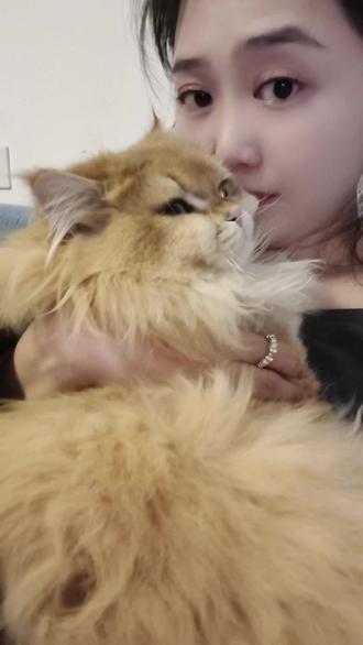 毛孩子补充维生素不用挨个补,就这一
瓶就可以#宠物维生素 #新手养猫 #猫 #萌宠好物 #科学养宠攻略 @抖音小助手