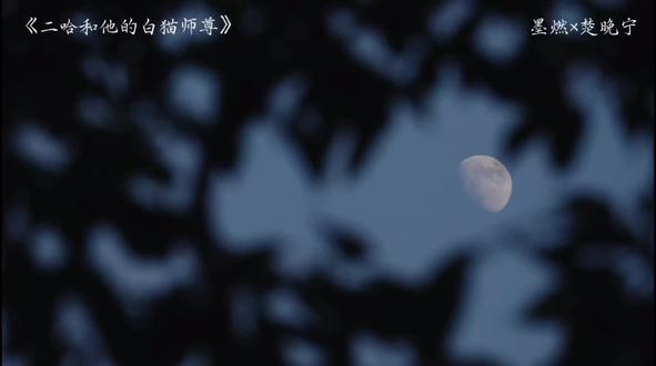 晚宁:白衣服怎么了!白衣服招你惹你了!就爱穿白衣服!#二哈和他的白猫师尊 #墨燃#楚晚宁#夏司逆
