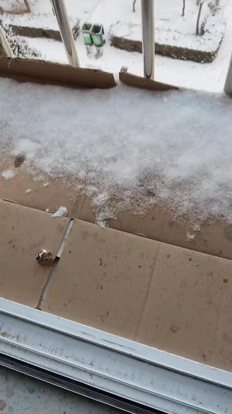 这是2026年的第二场大雪。大约有10cm左右。居民们正在扫雪儿车行。还不知今天复不复返。要是不返的话,明天就在厚了