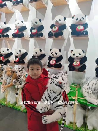 看不到油菜花不要紧,豆包来凑#抖音二创激励计划 #抖音看世界 #油菜花 #小男孩 #豆包