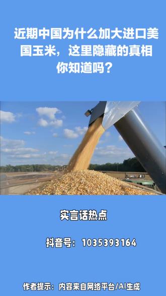 近期中国为什么加大进口美国玉米,这里隐藏的真相你知道吗?快来关注点赞收藏。