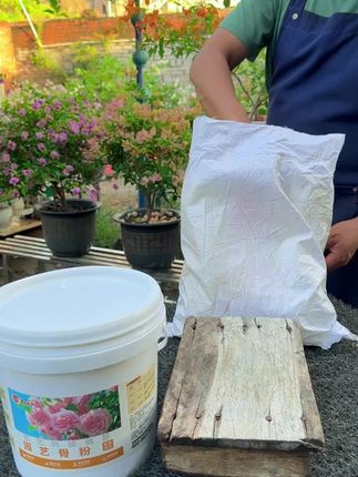 花大壮家这个促花骨粉这两天在搞活动!#家庭园艺 #花卉养护 #园艺骨粉 #爱生活爱养花 #家庭养花达人