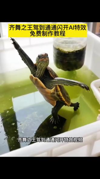 爱情海ai舞蹈万物通用模板制作教程!
#剪映#爱情海ai舞蹈# 爱情海ai ai乌龟跳舞素材 #ai乌龟跳舞视频 #齐舞之王驾到通通闪开 ai乌龟变身拍同款 ai乌龟特效拟人化视频 ai乌龟舞蹈展示 乌龟舞蹈视频 乌龟跳舞特效教程 爱琴海舞蹈完整版
齐舞之王驾到通通闪开ai舞蹈制作教程 爱琴海ai舞蹈拍同款入口
爱琴海ai制作跳舞视频
爱琴海舞蹈ai模板一键生成
爱琴海ai制作跳舞视频合拍
爱琴海ai舞制作教程
爱琴海ai跳舞软件推荐
ai爱琴海舞蹈一键剪同款模板
爱琴海AI制作跳舞加长版
爱琴海狗ai制作跳舞视频
爱琴海ai舞蹈
爱琴海ai制作跳舞视频
爱琴海舞蹈ai模板一键生成
爱琴海ai制作跳舞视频合拍
爱琴海ai舞制作教程
爱琴海ai跳舞软件推荐
ai爱琴海舞蹈一键剪同款模板
爱琴海AI制作跳舞加长版
爱琴海狗ai制作跳舞视频
爱琴海ai舞蹈
爱琴海舞蹈ai特效
爱琴海ai制作祖孙跳舞
爱琴海舞蹈ai制作
爱琴海ai制作跳舞视频
爱琴海舞蹈ai
爱琴海舞蹈ai生成
爱琴海ai舞蹈剪同款
爱琴海舞蹈ai模板
爱琴海AI制作跳舞加长版
爱琴海舞蹈a1制作
爱琴海ai
爱琴海ai舞蹈
爱琴海ai制作
爱琴海ai跳舞软件推荐
爱琴海ai模板
爱琴海ai跳舞
爱琴海ai制作两个人跳舞
爱琴海ai舞制作教程
爱琴海ai制作跳舞视频合拍
#爱情海ai舞蹈# 爱情海ai跳舞拍同款# ai跳舞一键生成入口
齐舞之王驾到通通闪开ai如何制作