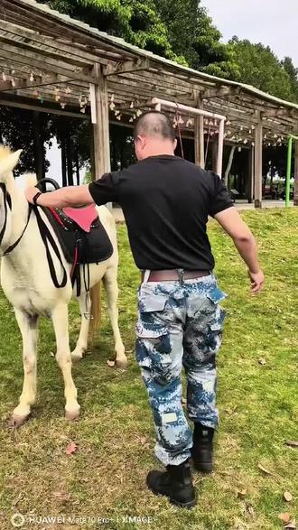 一分钟教会你飞身上马?两分钟教你策马奔腾