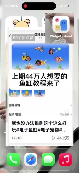 你们想要的的鱼缸教程来了#自推鱼缸