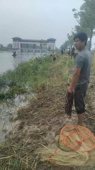 都是鱼满了,满河 #暴雨致河水暴涨 #暴雨过后
