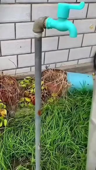 冬天水管上冻,我们可以使用开口自粘的保温棉,加厚防冻又保温,撕开把它套在水管粘上去就可以,操作也特别方便#管道保温 #防冻保温管套 #保温棉 #水管保温棉防冻加厚