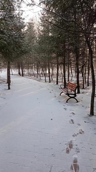 下雪啦!!于是今天在户外半沉浸式画雪景———
#画画 #零基础画画 #治愈系