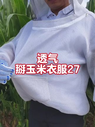 新款全透气掰玉米防护服#掰玉米 #掰玉米防护服 #甘蔗种植 #下地干活 #农业种植