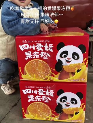 果肉像果冻一样细嫩的爱媛果冻橙!皮薄如纸,清甜多汁还没有籽!直接吸着吃果味浓郁,甜而不腻,让人一口沦陷! #爱媛果冻橙 #橙子 #口感特别好 #在抖音入手好东西