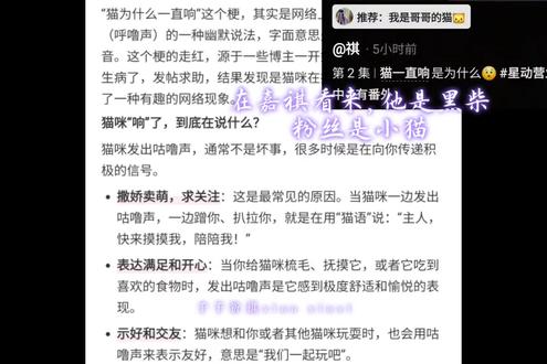 黑柴哥哥,我是你的小猫咪。嘉祺和我们(黑柴和黑猫)@时代少年团-马嘉祺 #马嘉祺 #祺芙 #动物塑 @DOU+上热门