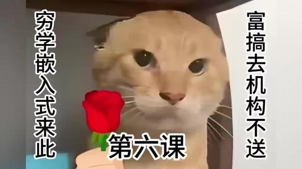 小伙伴们,新的一课已发,老规矩进群啦,帮我给我留留言,我会接着给大家做大白话讲解,小众冷门但质量超高哟 #单片机开发 #小白 #单片机 #嵌入式