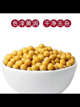东北黄豆打豆浆专用豆子非转基因新大豆生小农家土黄豆真空包装#黄豆 #东北黄豆 #黄豆推荐 #土黄豆 #东北黄豆推荐
