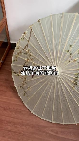 老祖宗诚不欺我油纸伞真的防雨 #非遗 #油纸伞