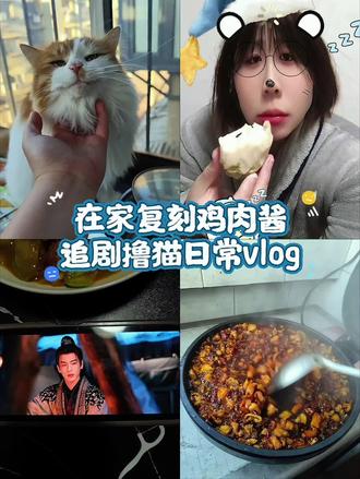 05广东妹奔现河北!追张凌赫的逐玉自制鸡肉酱平平淡淡的情侣日常vlog#情侣日常 #00后 #vlog日常 #张凌赫 #逐玉