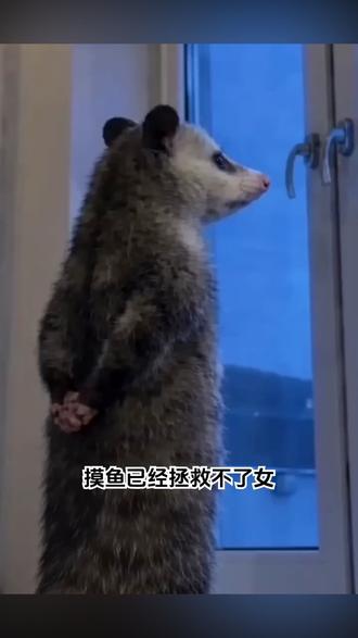 荣耀600女大学生幻彩拍照体验升级 #荣耀600 #幻彩幸运