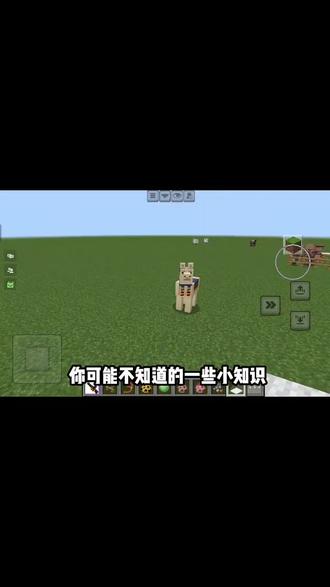 #我的世界冷知识 这些知识你知道吗