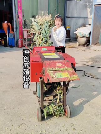 #养殖 #铡草揉丝机 #牛羊养殖设备 #三农 #养殖人加油