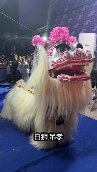 第一次近距离看白狮吊孝,才发现民俗文化里藏着这么多讲究。老人们说这是一辈辈传下来的规矩,现在能亲眼见到,真的觉得这种传承特别珍贵。
#白狮吊孝 #三叩首 #舞狮子表演 #小白狮哭得特别感动 #小白狮哭了
