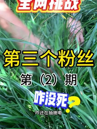 #劲割 #麦冬 #除草剂 #水花生 #接骨草
