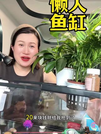 #懒人鱼缸 #超便宜超划算
