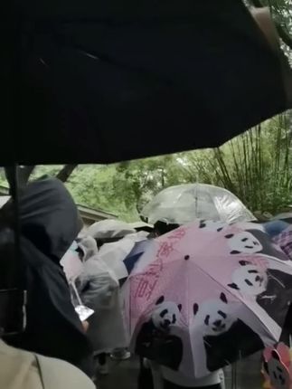粉丝们从五点半等到八点半,队伍从上馆排到下馆,这就是顶流的号召力,我们都是渝皇的兵。