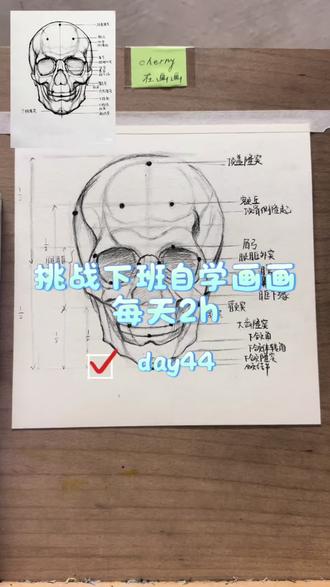 用行动打败拖延,我的素描自学日记day44 #一起学画画吧
攻克头骨结构练习
所有看似枯燥的练习
都是在往后画好人物的底气
还要继续努力
#手绘教程 #画画 #青年创作者扶持计划
@DOU+小助手 @抖音小助手 @抖音作者助手