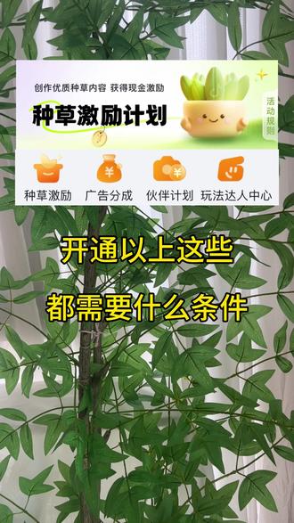 开通这几个,各自都需要什么条件?#玩法合伙人计划 #种草激励计划 #电商带货 #广告分成计划 #创作者伙伴计划 @斗罗大陆魂师对决 #斗罗大陆魂师对决电商节